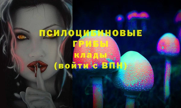 прущий лед Белокуриха