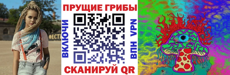 KRAKEN как зайти  Грозный  Псилоцибиновые грибы мухоморы  как найти  